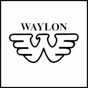 Stylish Waylon logo T-shirt for fans and fashion lovers.
