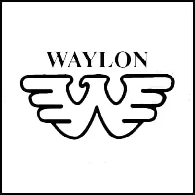 Stylish Waylon logo T-shirt for fans and fashion lovers.