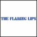 Vibrant Flaming Lips band logo t-shirt design, perfect for music fans and concert goers.