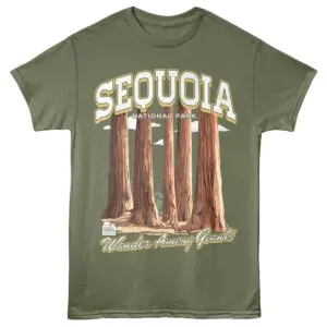 Sequoia Wander Among Giants Men's T-Shirt