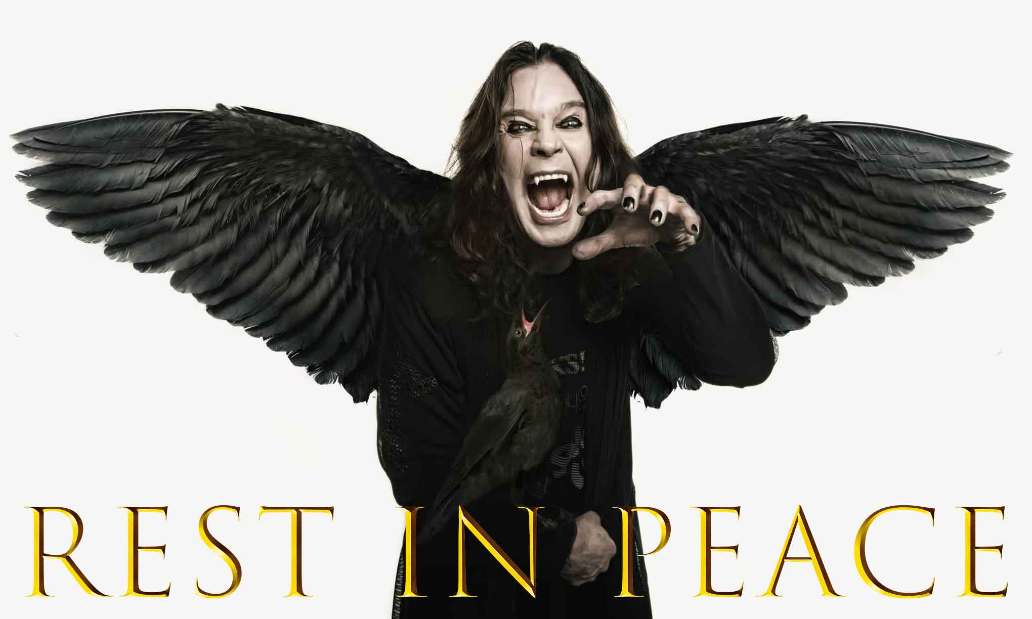 Dark angel with black feathered wings, growling fiercely, symbolizing strength and peace.