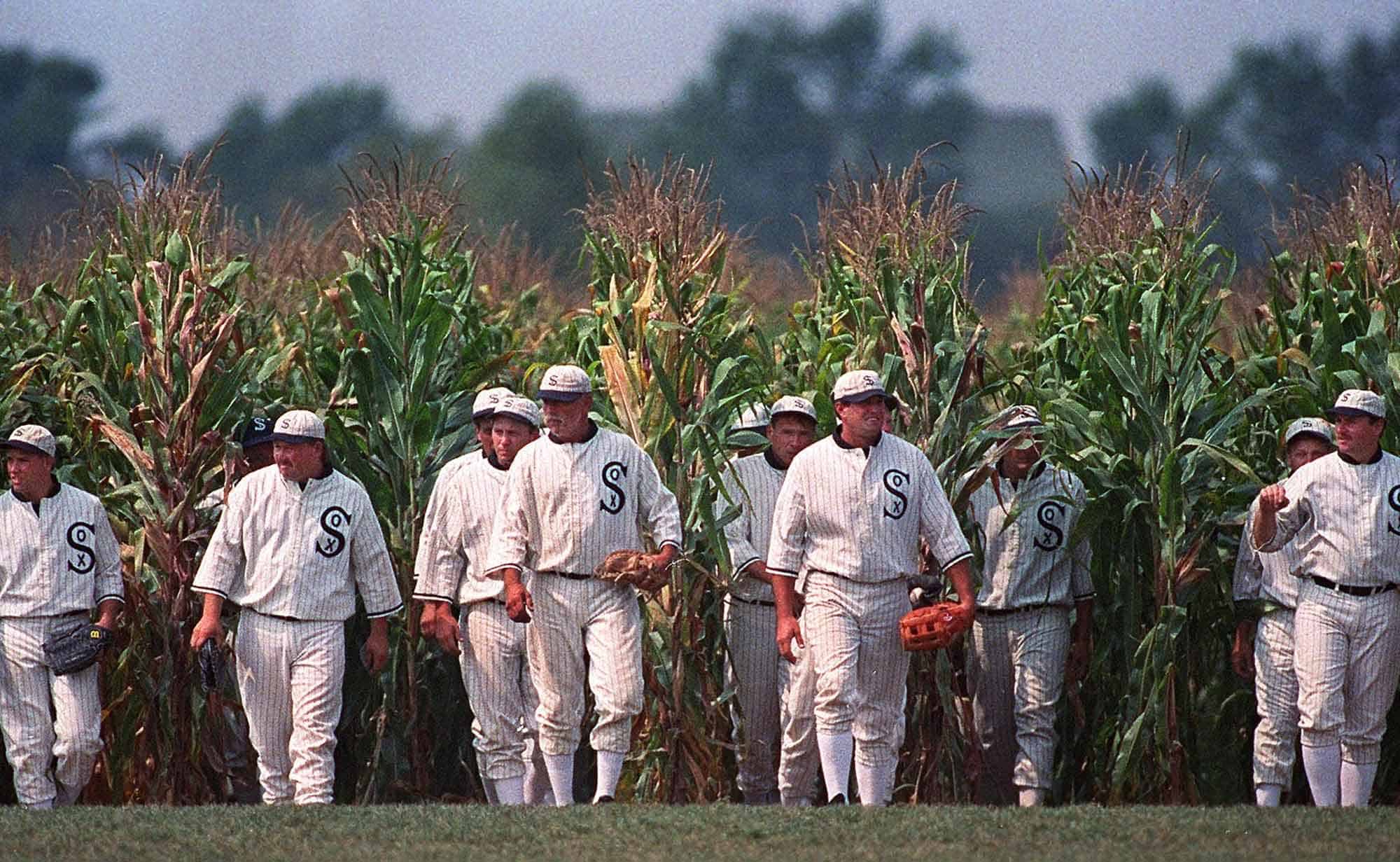 A group of baseball players in vintage uniforms walking through a lush cornfield.